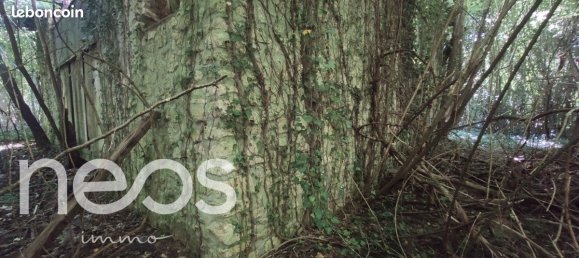 Земельный участок 3254м² в Жуи-сюр-Морен, Франция № 328598 10