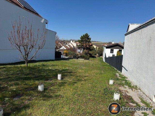  Land in Zillingtal, Austria No. 242992