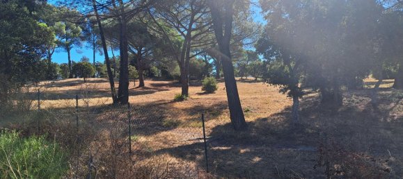 515m² Land in Frejus, France No. 334793 3