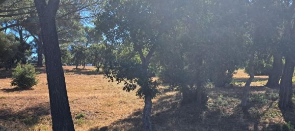 515m² Land in Frejus, France No. 334793 2