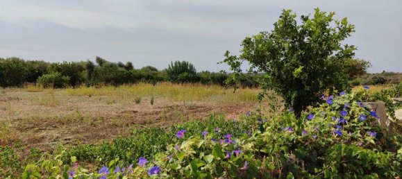 Вилла с 7 комнатами в Авола, Италия № 127095 3