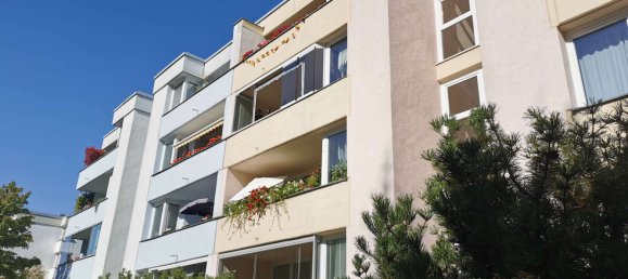 1 chambre Appartement à Gropiusstadt, Germany No. 38171 15