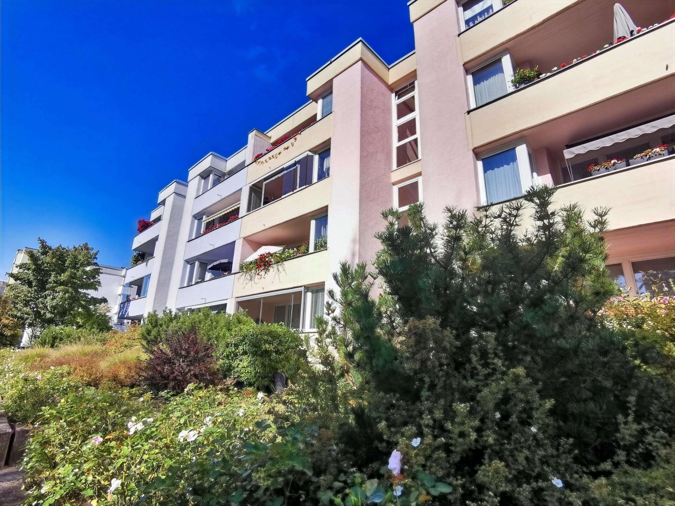 1 chambre Appartement à Gropiusstadt, Germany No. 38171