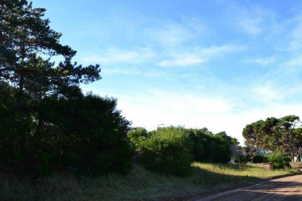  Land in Mar del Plata, Argentina No. 110937