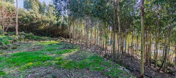 Casa de 1 dormitorio en Macieira de Cambra, Portugal No. 47190 10