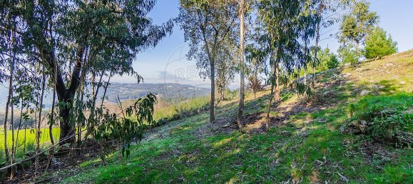 Casa de 1 dormitorio en Macieira de Cambra, Portugal No. 47190 11