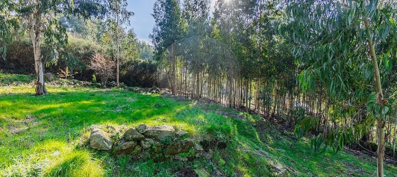 Casa de 1 dormitorio en Macieira de Cambra, Portugal No. 47190 9