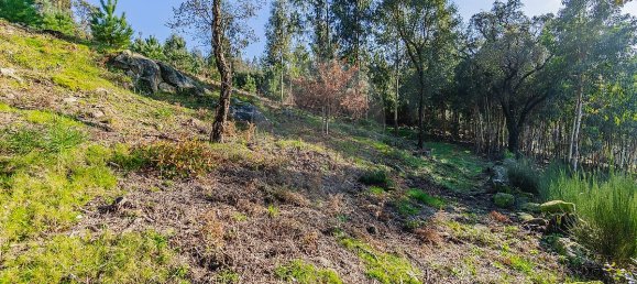 Casa de 1 dormitorio en Macieira de Cambra, Portugal No. 47190 12