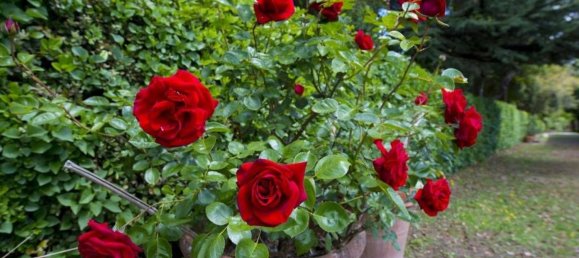 18-salle Villa à Monteriggioni, Italy No. 207524 15