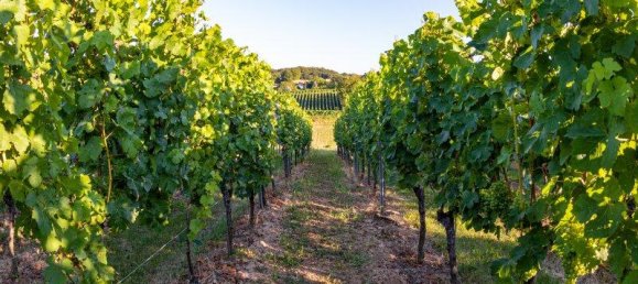 665m² Land in Wahring, Austria No. 226649 5