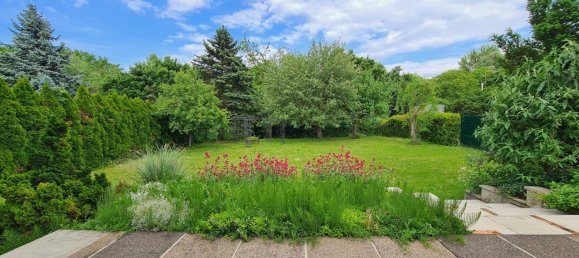 5 rooms House in Stockerau, Austria No. 258812 3