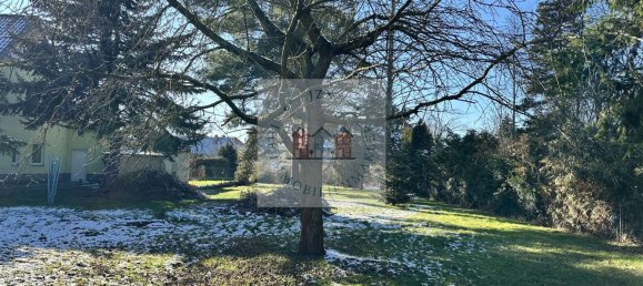 Grundstück in Nordsachsen, Germany, Nr. 176180 6