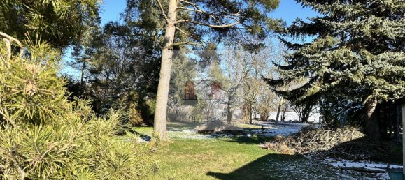 Grundstück in Nordsachsen, Germany, Nr. 176180 3