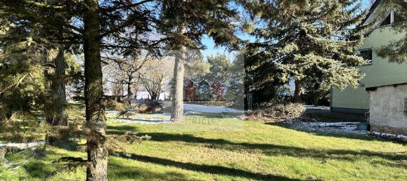 Grundstück in Nordsachsen, Germany, Nr. 176180 2