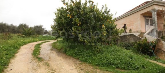 5 bedrooms House in Cartaxo, Portugal No. 215386 9