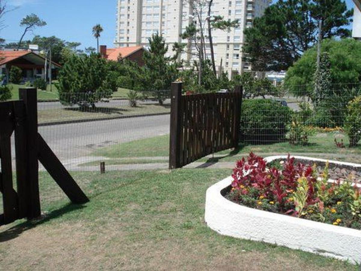 Studio in Maldonado, Uruguay No. 8555