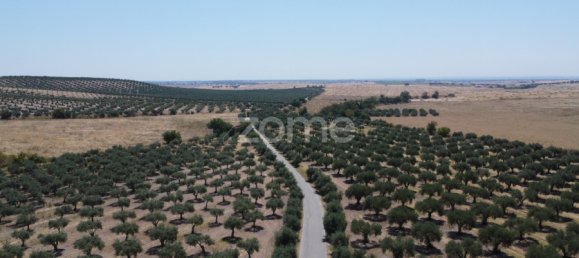 2 Schlafzimmer Haus in Campo Maior, Portugal, Nr. 85132 9