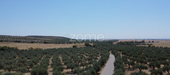 2 Schlafzimmer Haus in Campo Maior, Portugal, Nr. 85132 5