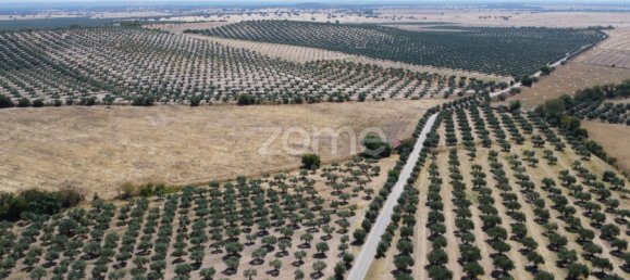 2 Schlafzimmer Haus in Campo Maior, Portugal, Nr. 85132 19