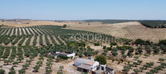 2 Schlafzimmer Haus in Campo Maior, Portugal, Nr. 85132 13
