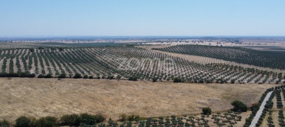 2 Schlafzimmer Haus in Campo Maior, Portugal, Nr. 85132 18
