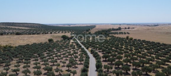 2 Schlafzimmer Haus in Campo Maior, Portugal, Nr. 85132 40