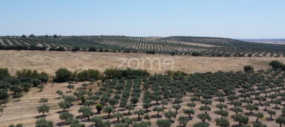 2 Schlafzimmer Haus in Campo Maior, Portugal, Nr. 85132 10