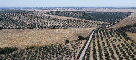2 Schlafzimmer Haus in Campo Maior, Portugal, Nr. 85132 20
