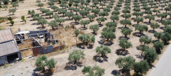 2 Schlafzimmer Haus in Campo Maior, Portugal, Nr. 85132 8