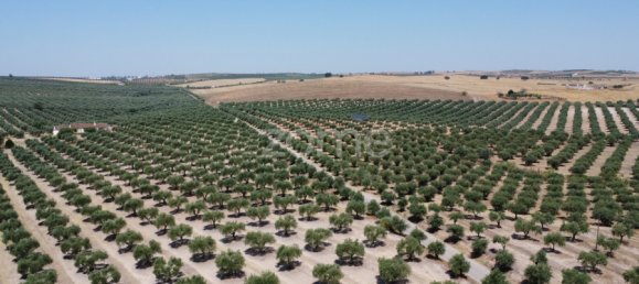 2 Schlafzimmer Haus in Campo Maior, Portugal, Nr. 85132 12