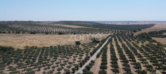2 Schlafzimmer Haus in Campo Maior, Portugal, Nr. 85132 15