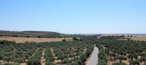 2 Schlafzimmer Haus in Campo Maior, Portugal, Nr. 85132 33