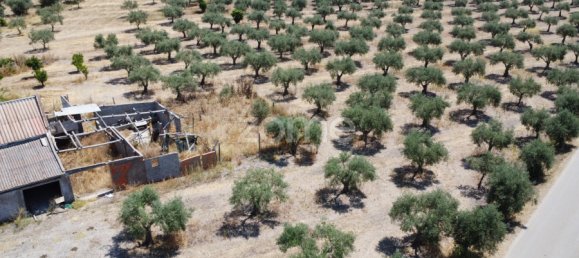 2 Schlafzimmer Haus in Campo Maior, Portugal, Nr. 85132 38