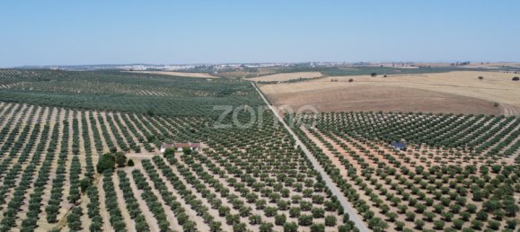 2 Schlafzimmer Haus in Campo Maior, Portugal, Nr. 85132 16