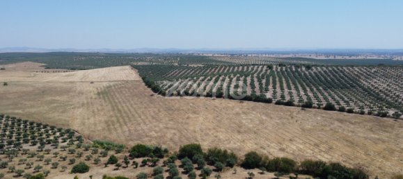 2 Schlafzimmer Haus in Campo Maior, Portugal, Nr. 85132 17