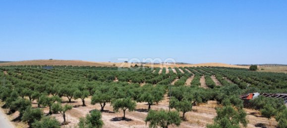 2 Schlafzimmer Haus in Campo Maior, Portugal, Nr. 85132 34