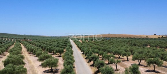 2 Schlafzimmer Haus in Campo Maior, Portugal, Nr. 85132 36