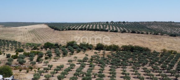 2 Schlafzimmer Haus in Campo Maior, Portugal, Nr. 85132 14