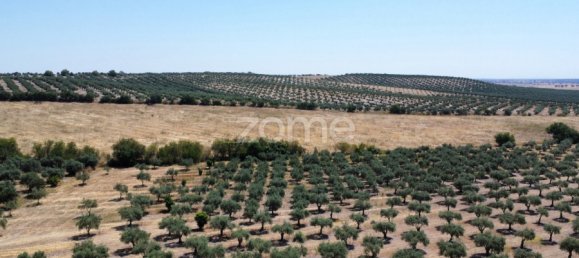 2 Schlafzimmer Haus in Campo Maior, Portugal, Nr. 85132 41