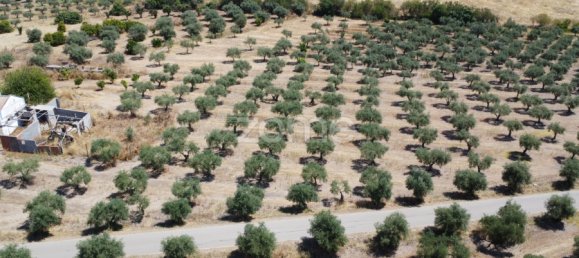 2 Schlafzimmer Haus in Campo Maior, Portugal, Nr. 85132 11