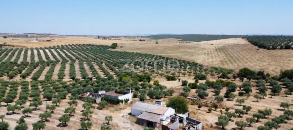 2 Schlafzimmer Haus in Campo Maior, Portugal, Nr. 85132 49