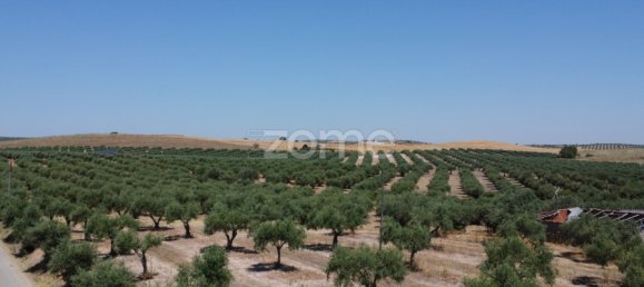 2 Schlafzimmer Haus in Campo Maior, Portugal, Nr. 85132 7