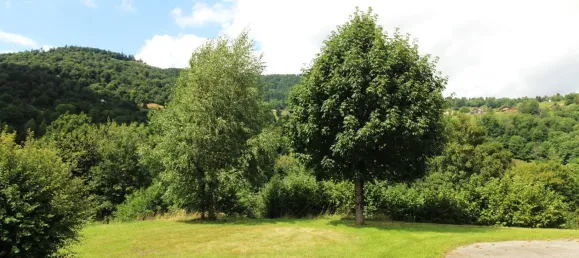 4 غرف نوم منزل في Bussang, France رقم 319734 4