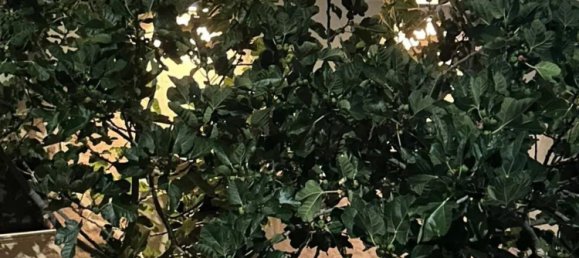 8 rooms House in Filiano, Italy No. 106906 2