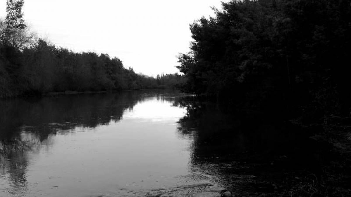 Terreno en Maule, Chile No. 973