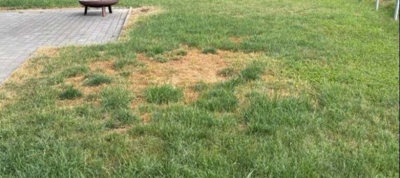 Дом с 7 комнатами в Швебиш Халль, Германия № 332224 8