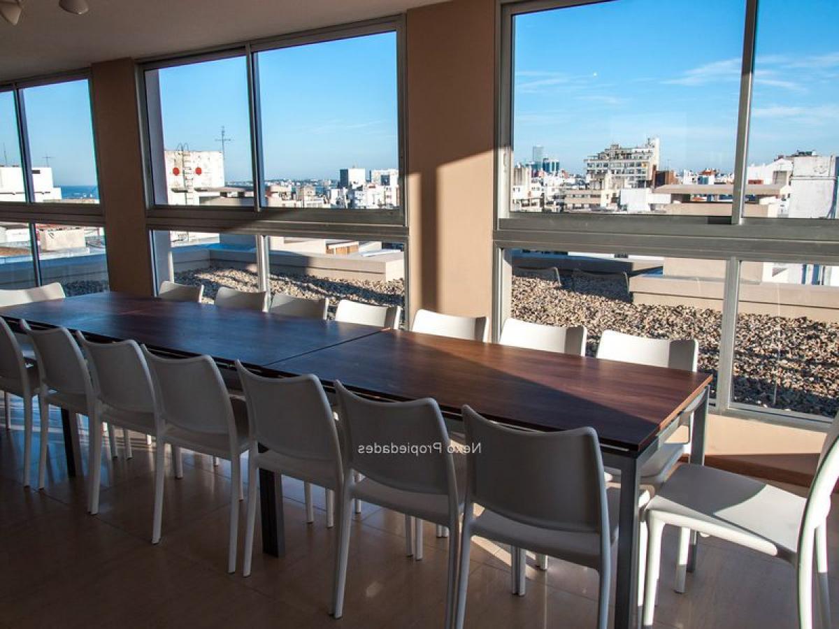 استوديو في Montevideo, Uruguay رقم 6954