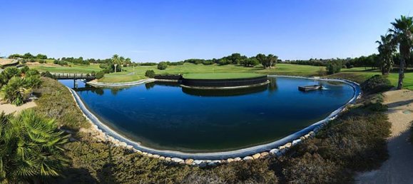 3 bedrooms Villa in Pilar de la Horadada, Spain No. 6441 10