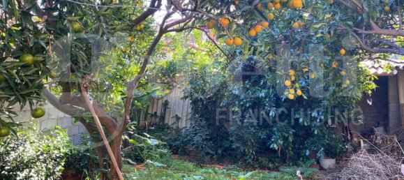 4-Zimmer Haus in Oristano, Italy, Nr. 38139 8