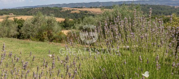 4 bedrooms Castles in Fabro, Italy No. 264817 26